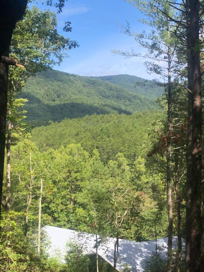 Mountain-Top Cabin Get-Away With Hot Tub And A View Sautee Nacoochee Bagian luar foto